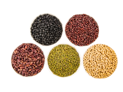 variety-legumes-top-view-removebg-preview.png
