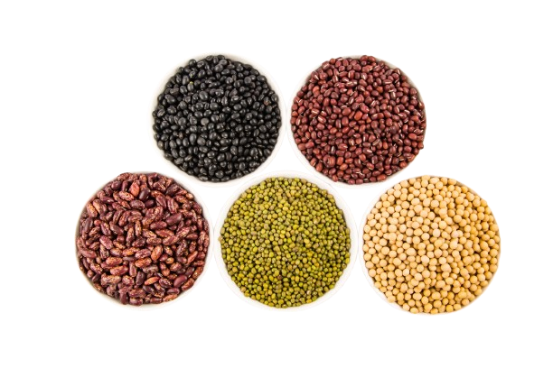variety-legumes-top-view-removebg-preview.png
